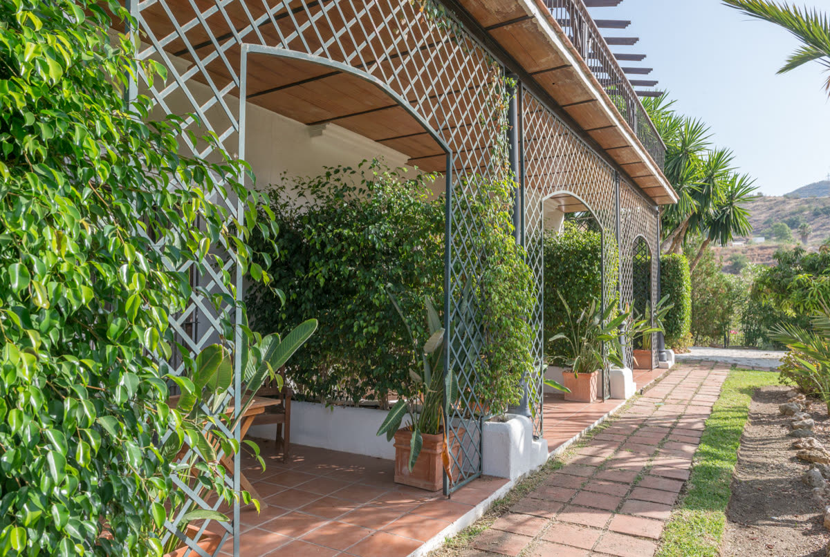 Gardens at Centro Santillán